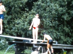 0DIA 1985 RAVAKAMP